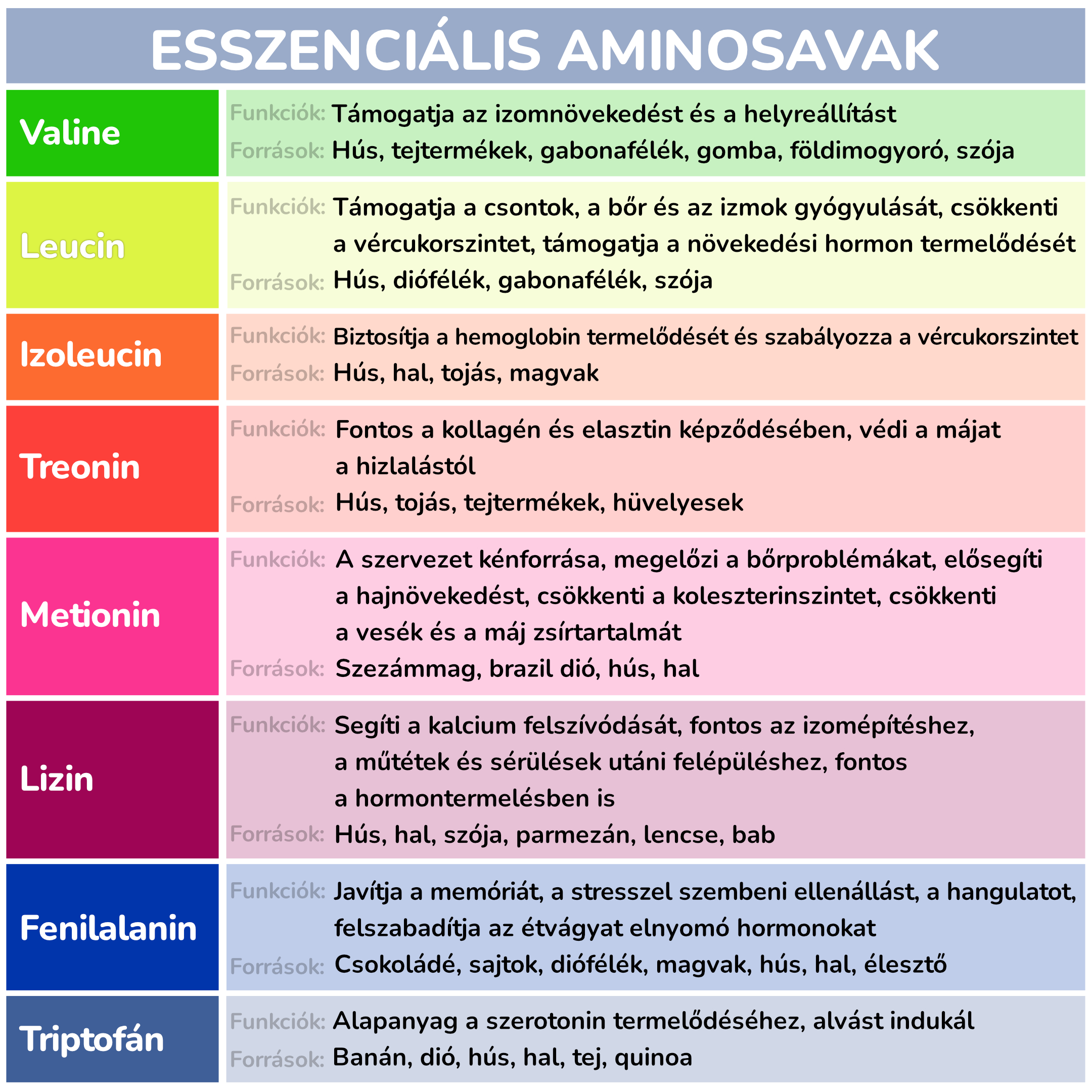 esencialni kyseliny_infografika_hu